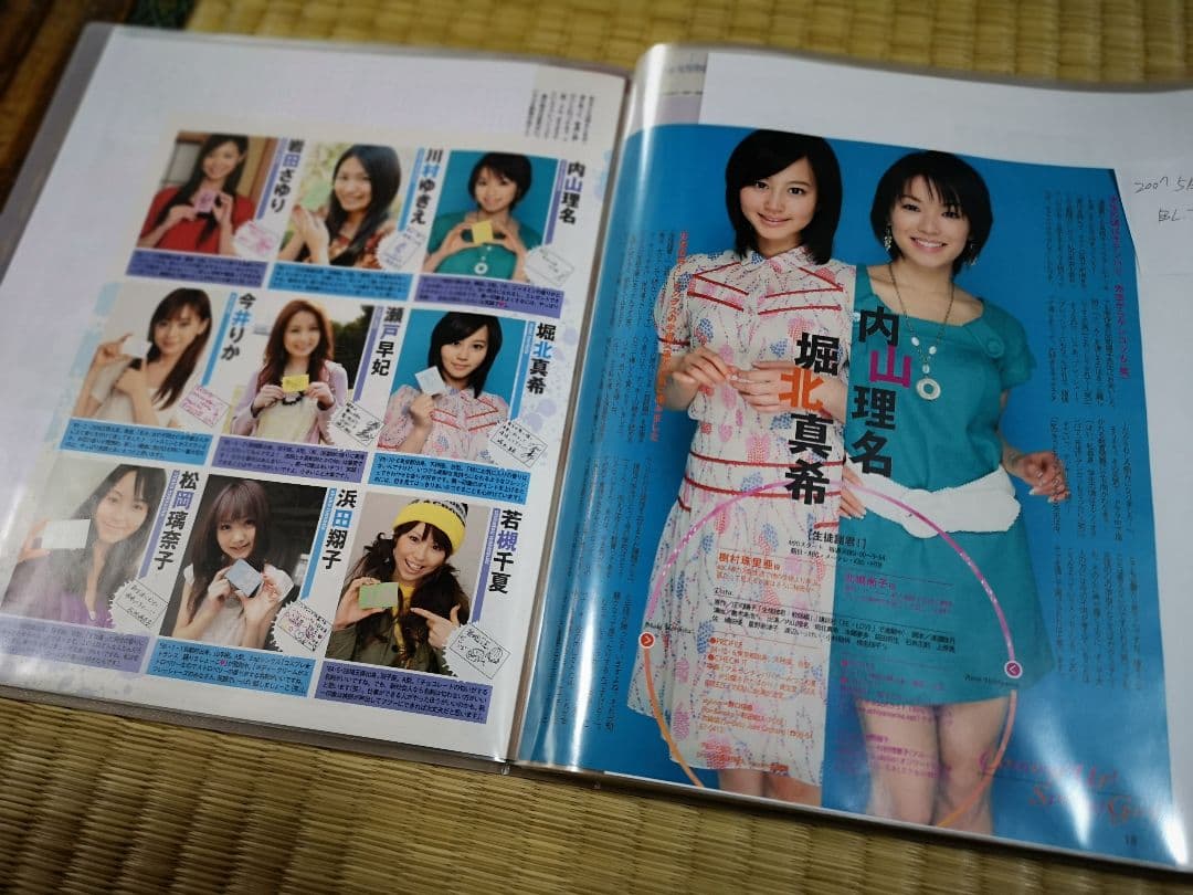 内山理名(1冊200円計算)144冊分約250ページ　切り抜きしファイリング済み