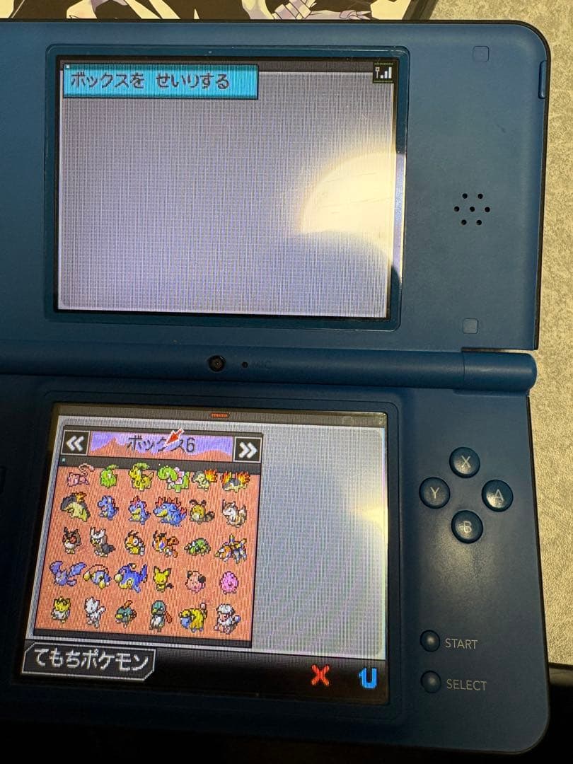 ポケットモンスター ブラックNintendo DS