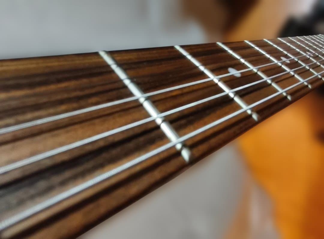 【オマケ多数】Pignose PGG-200 SB