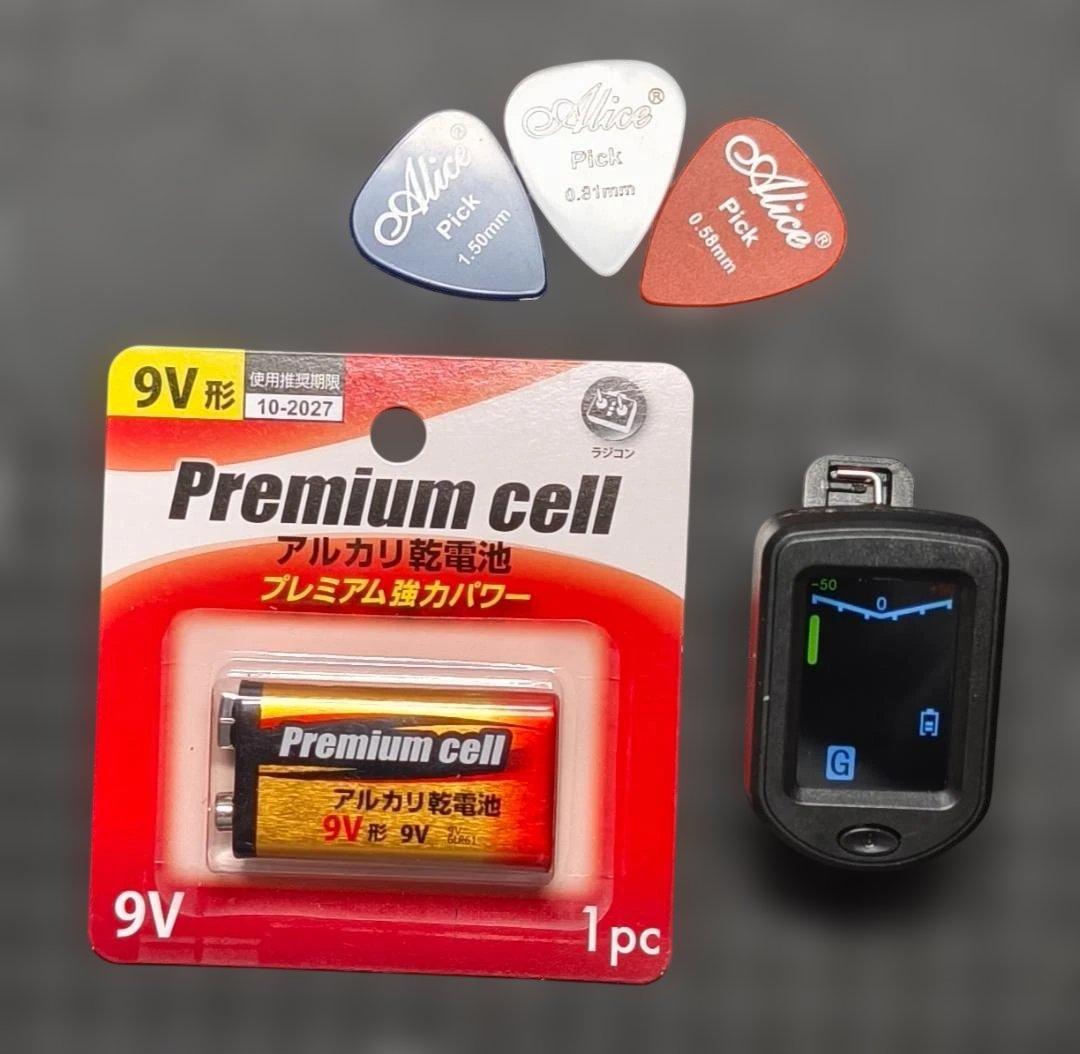 【オマケ多数】Pignose PGG-200 SB
