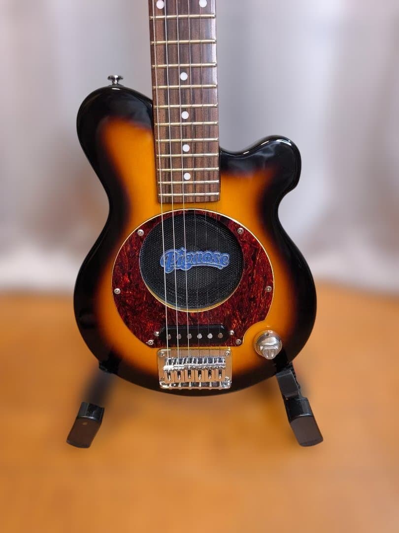【オマケ多数】Pignose PGG-200 SB