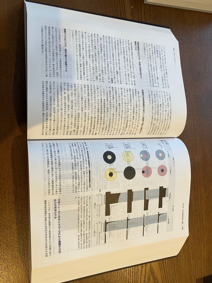 未使用品　カンデル神経科学 第五版