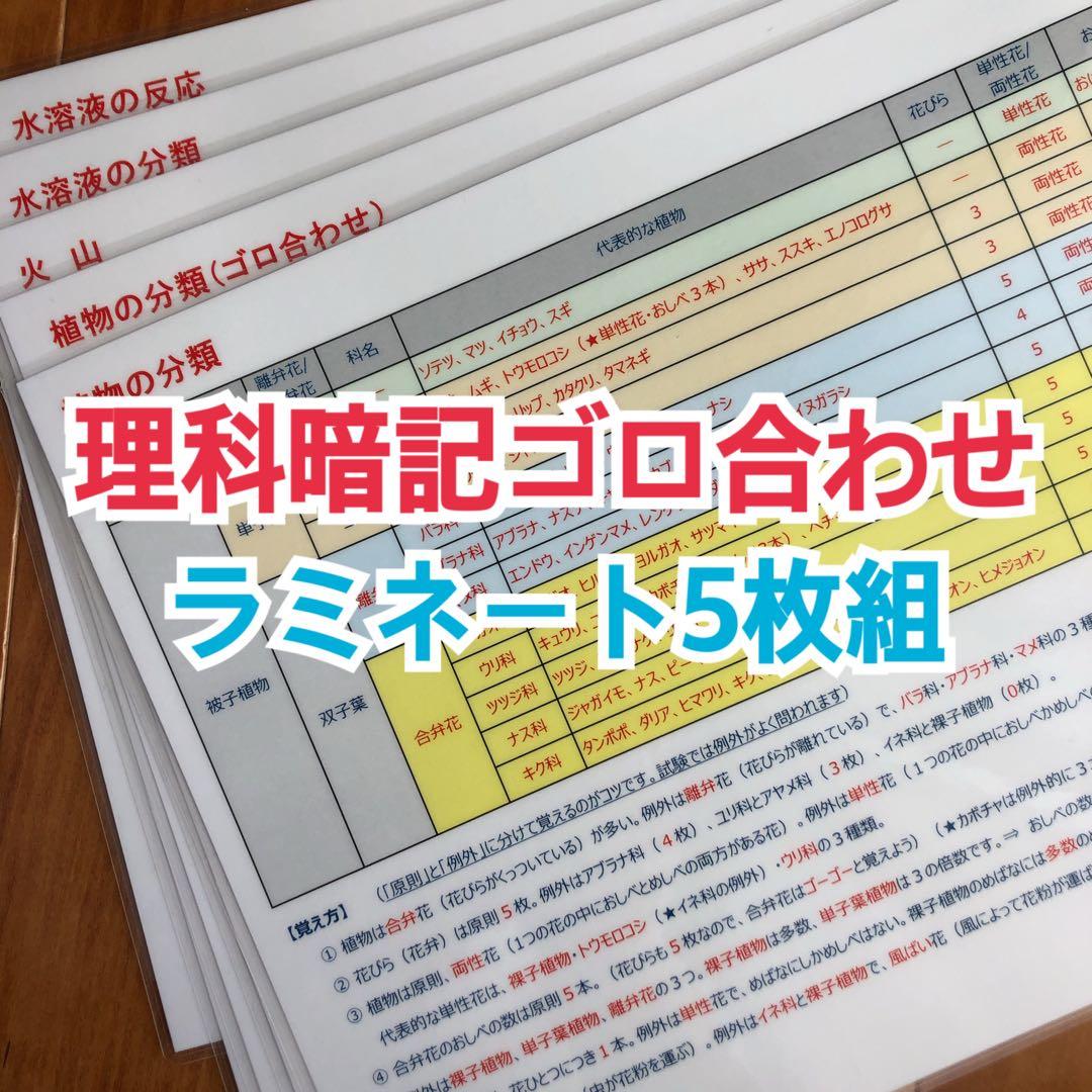 【中学受験】国語重要語句暗記カード（カット前）他３点