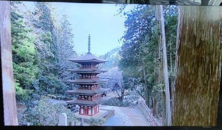 ✨動作OK✨　五木寛之の百寺巡礼 DVD全25巻セット　＊解説書・専用ケース付＊