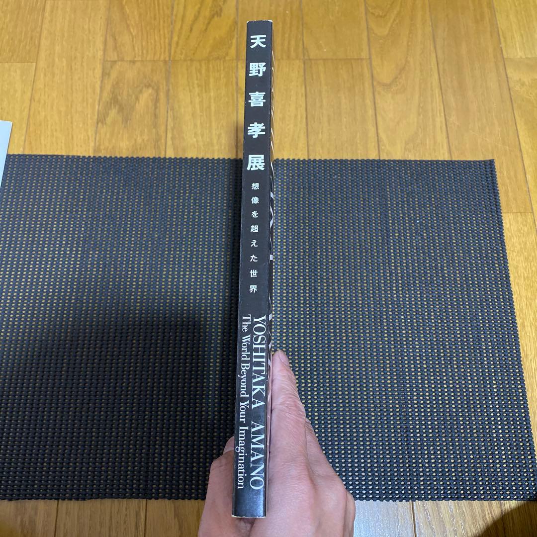 天野喜孝　天野喜孝展　想像を超えた世界 イラスト集　帯・売り上げカード付き