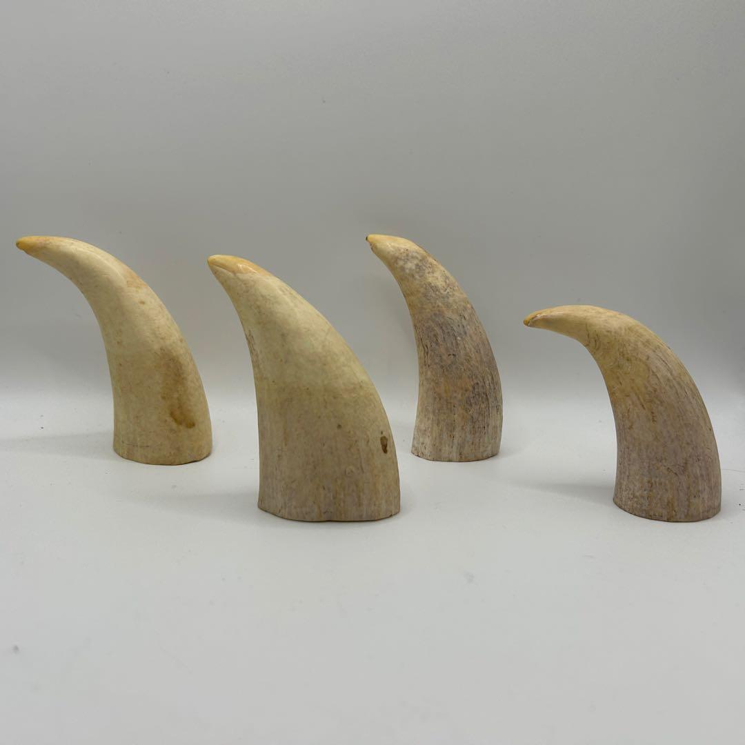 キ*ミ様 鯨の歯 4本 総重量542.6g レア 希少 マッコウクジラ 鯨の牙