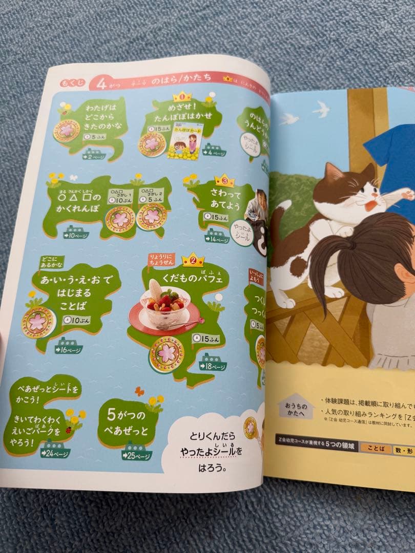 Z会　年中　通信教材　ドリル　自宅学習　幼児教育　体験学習