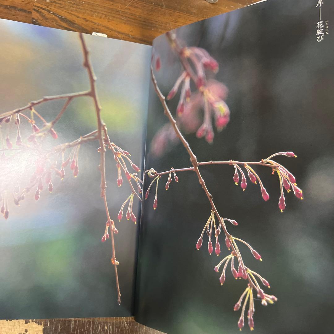 日本列島 花乃聲 /櫻乃聲/日本列島 季乃聲　鈴木一雄写真集　3作
