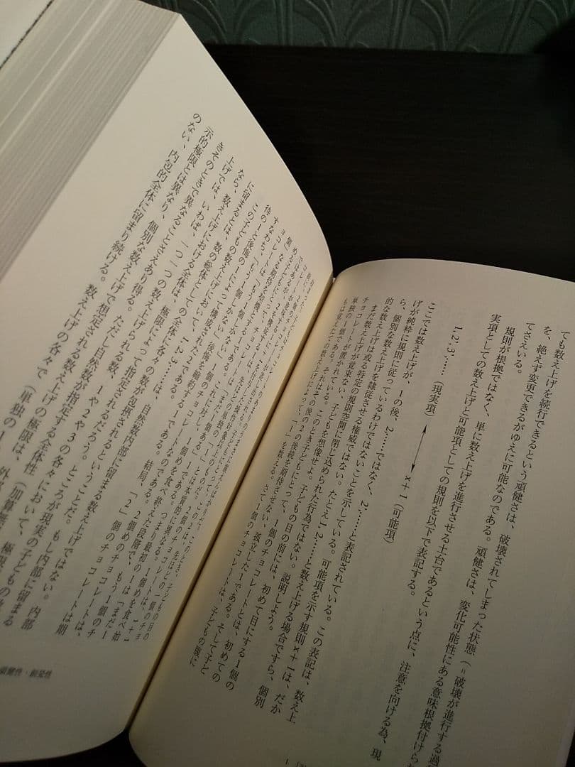 生命理論／郡司ペギオ・幸夫 ☆書き込み無し保証