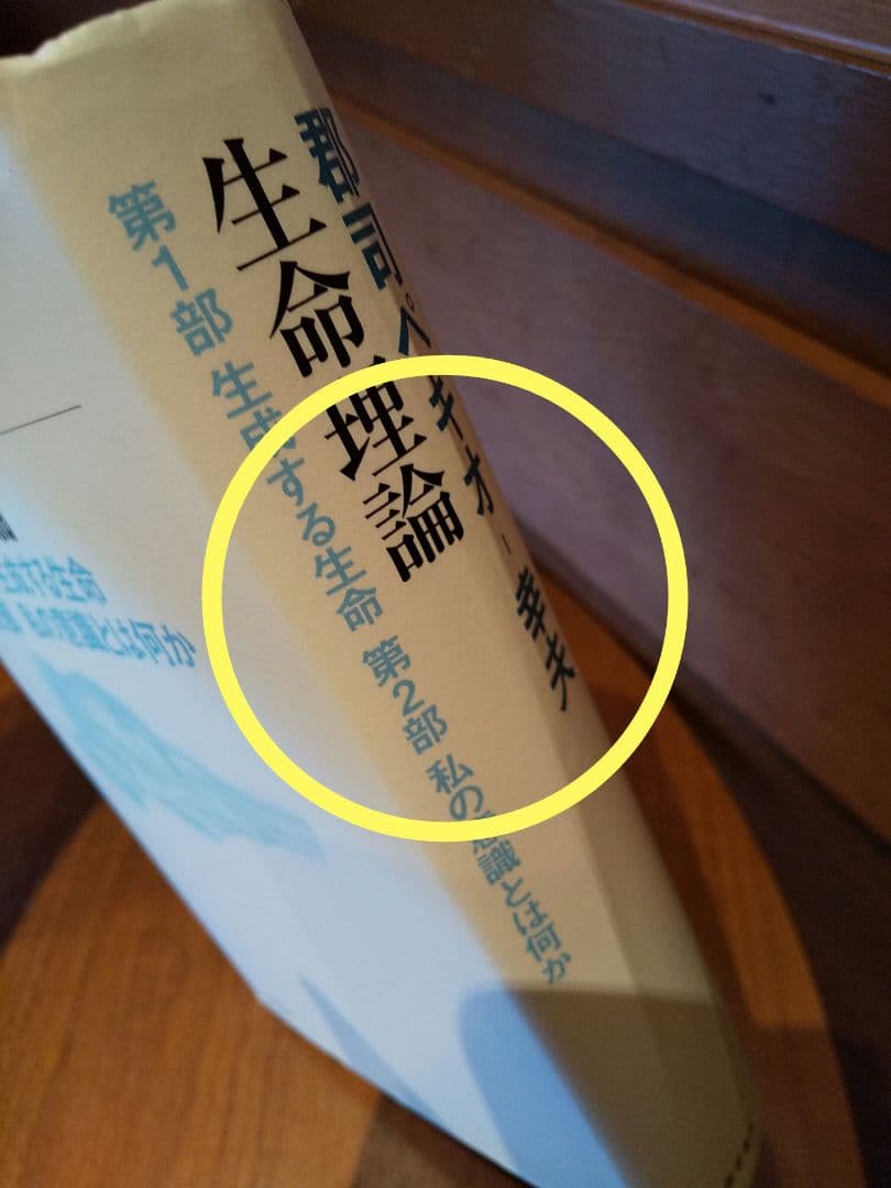 生命理論／郡司ペギオ・幸夫 ☆書き込み無し保証