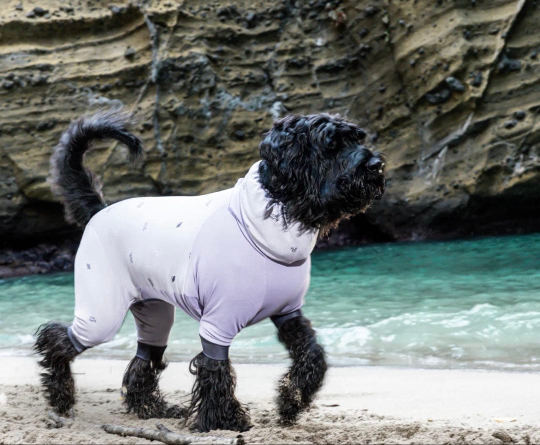 DOG GUARD COOL　ドッグガードクール　ORBIT