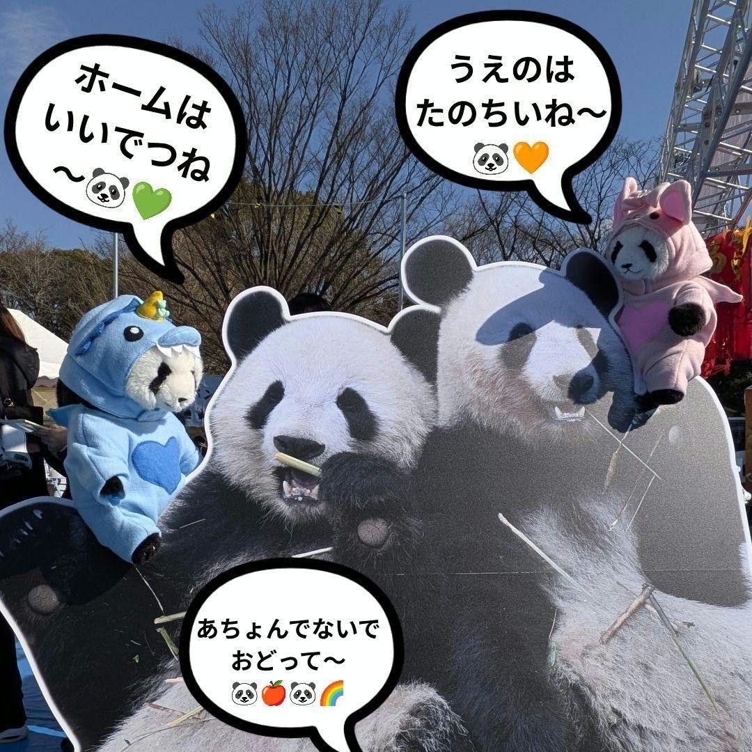 【まゆみっち様オーダー】だっこシャオレイ♡怪獣＆うさぎ変身コスチュームセット