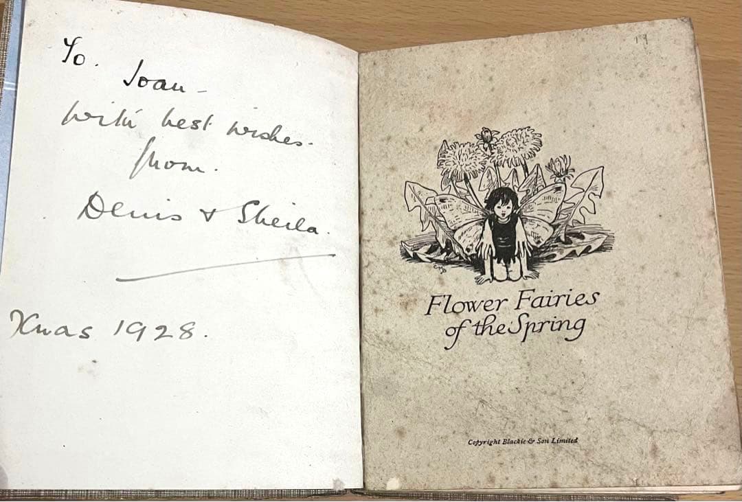 No.263 希少 古書 洋書 絵本 花の妖精 フラワー フェアリーズ