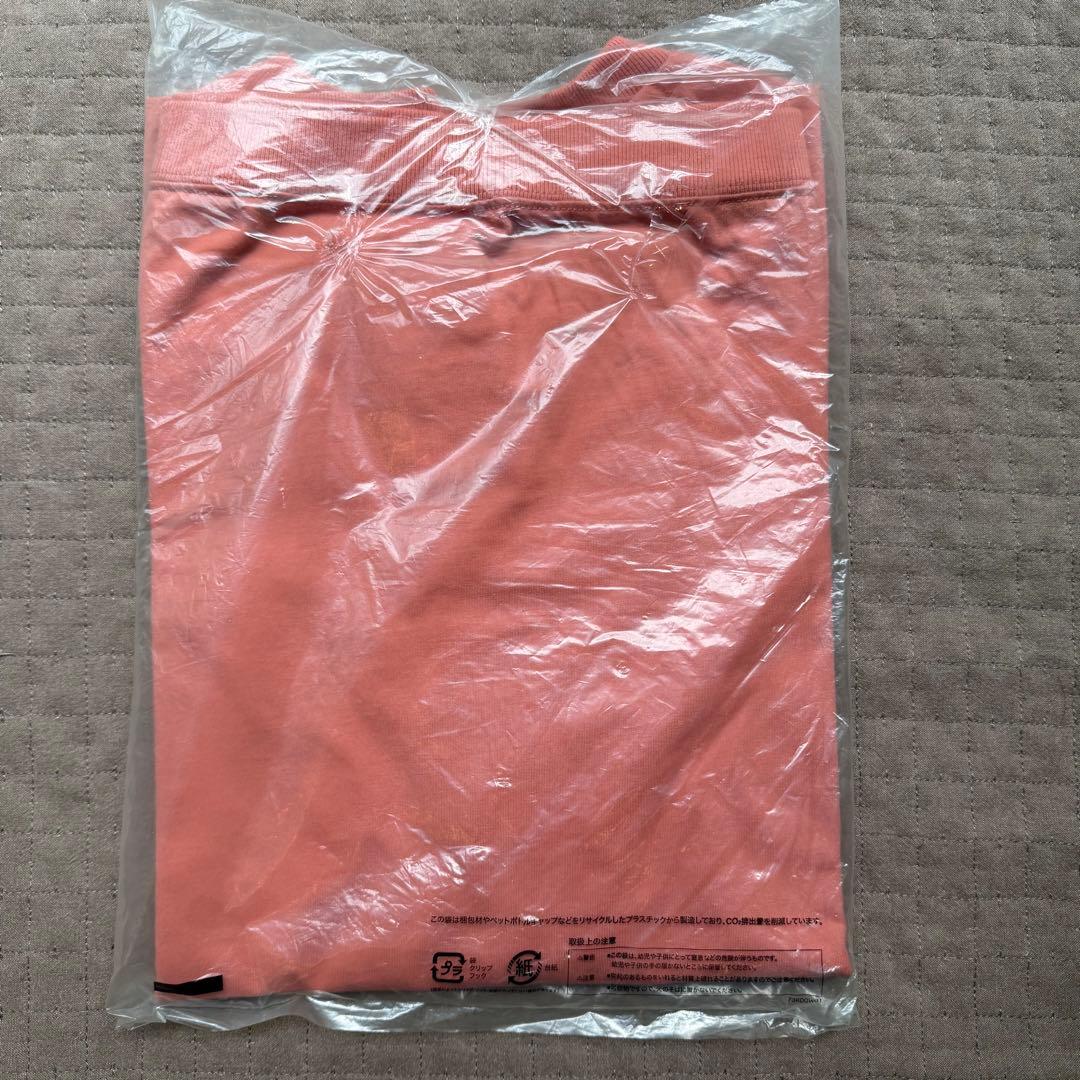 【新品定価13,200円46%off】ノースフェイス パープルレーベル Tシャツ