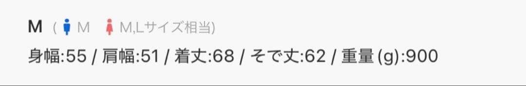 【完売品】【GRANCY / グランシー】レイヤードセットアップ 上下sizeM