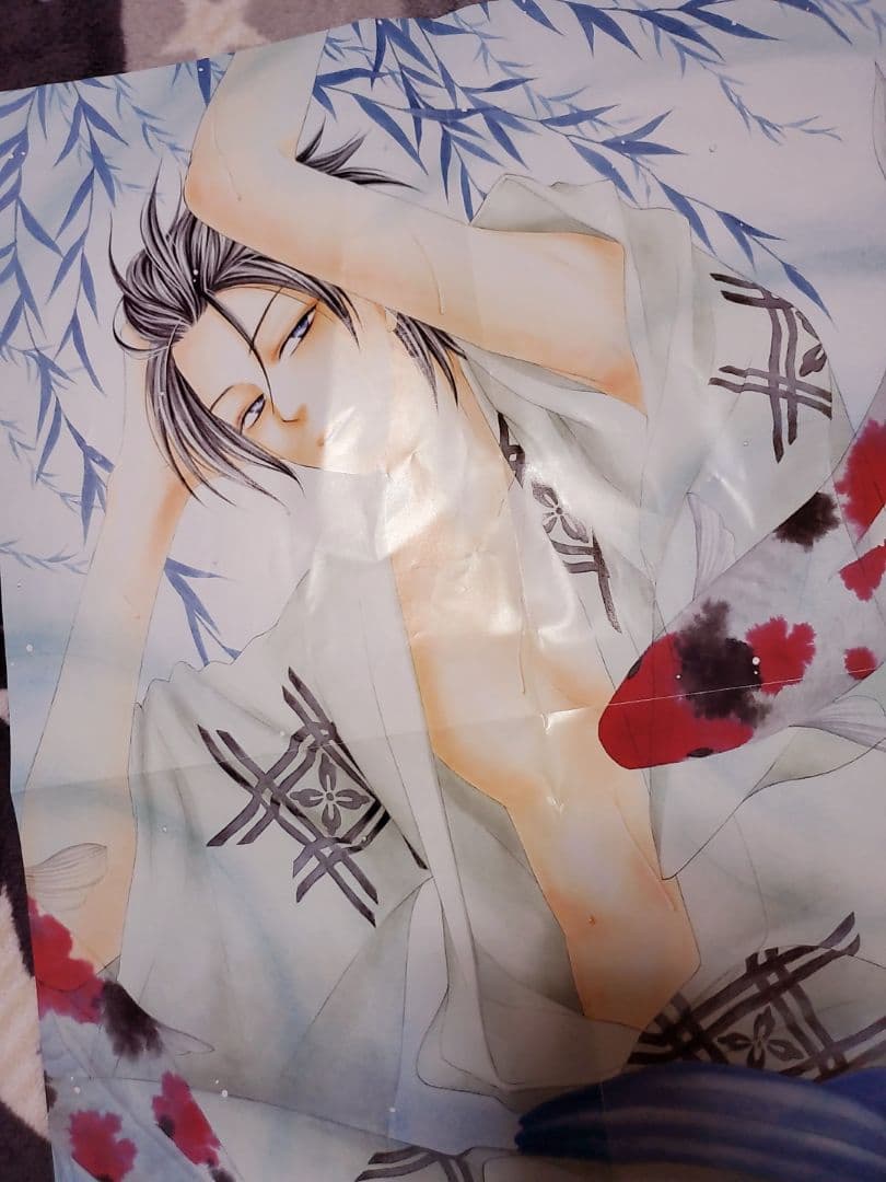 漫画 BLACK BIRD 全18巻