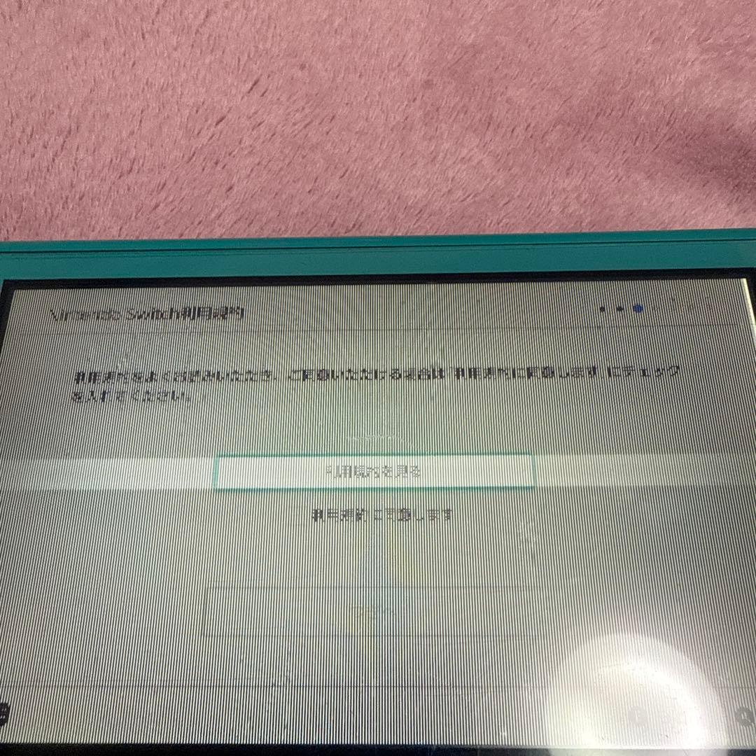 ジャンク品！Nintendo Switch Lite ターコイズ