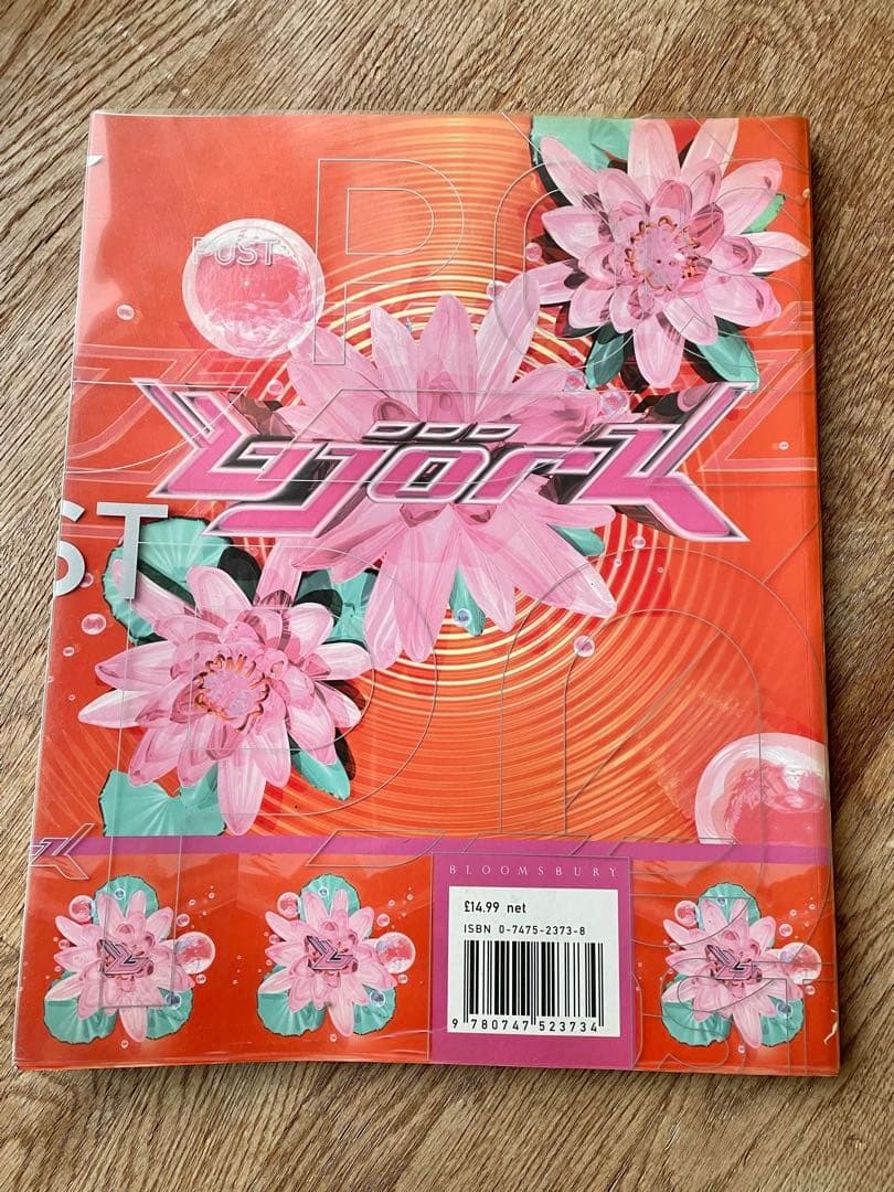 JAPAN4989　Björkビョーク 写真集1995