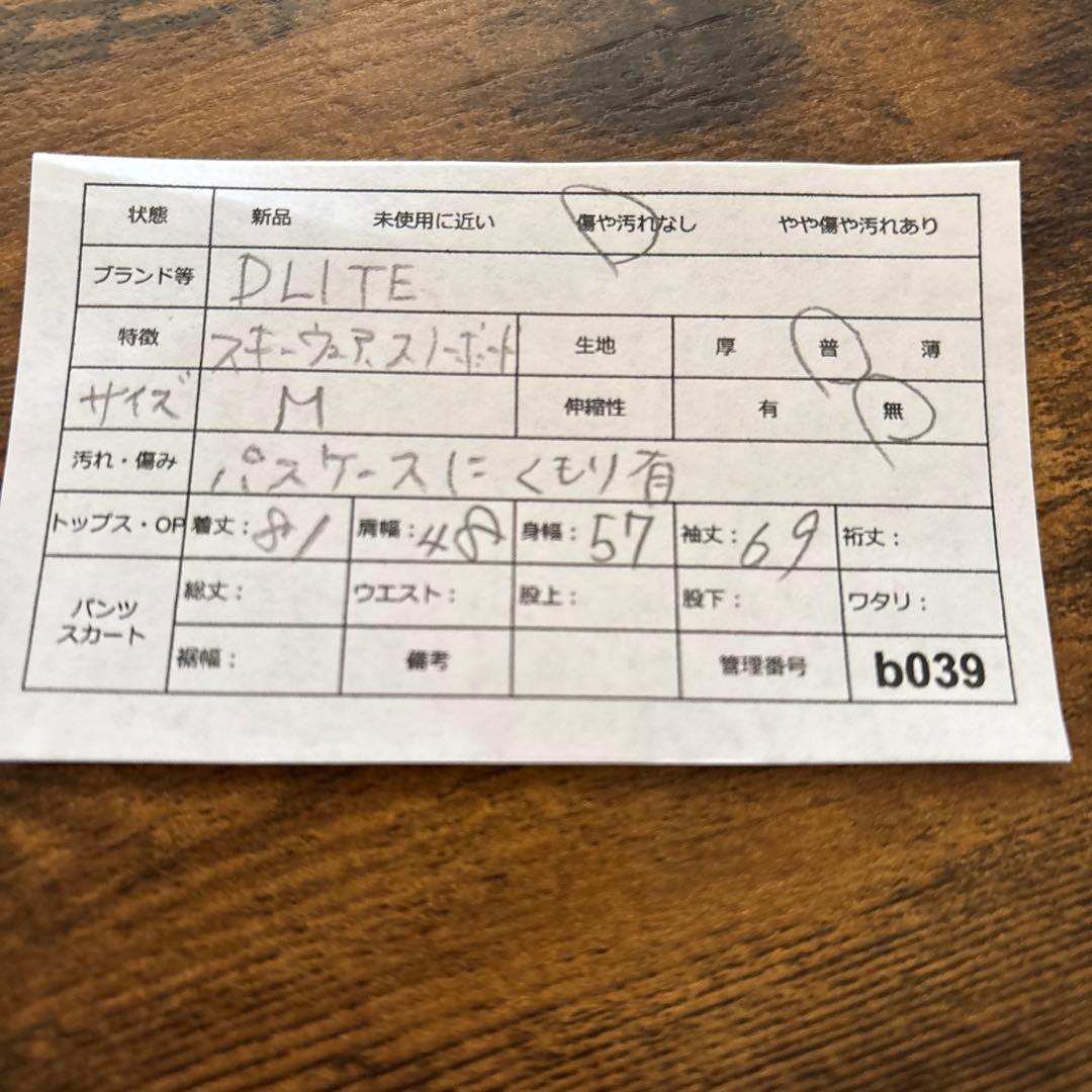 DLITE(M)スキーウェア　スノーボードウェア　上下セット　メンズ