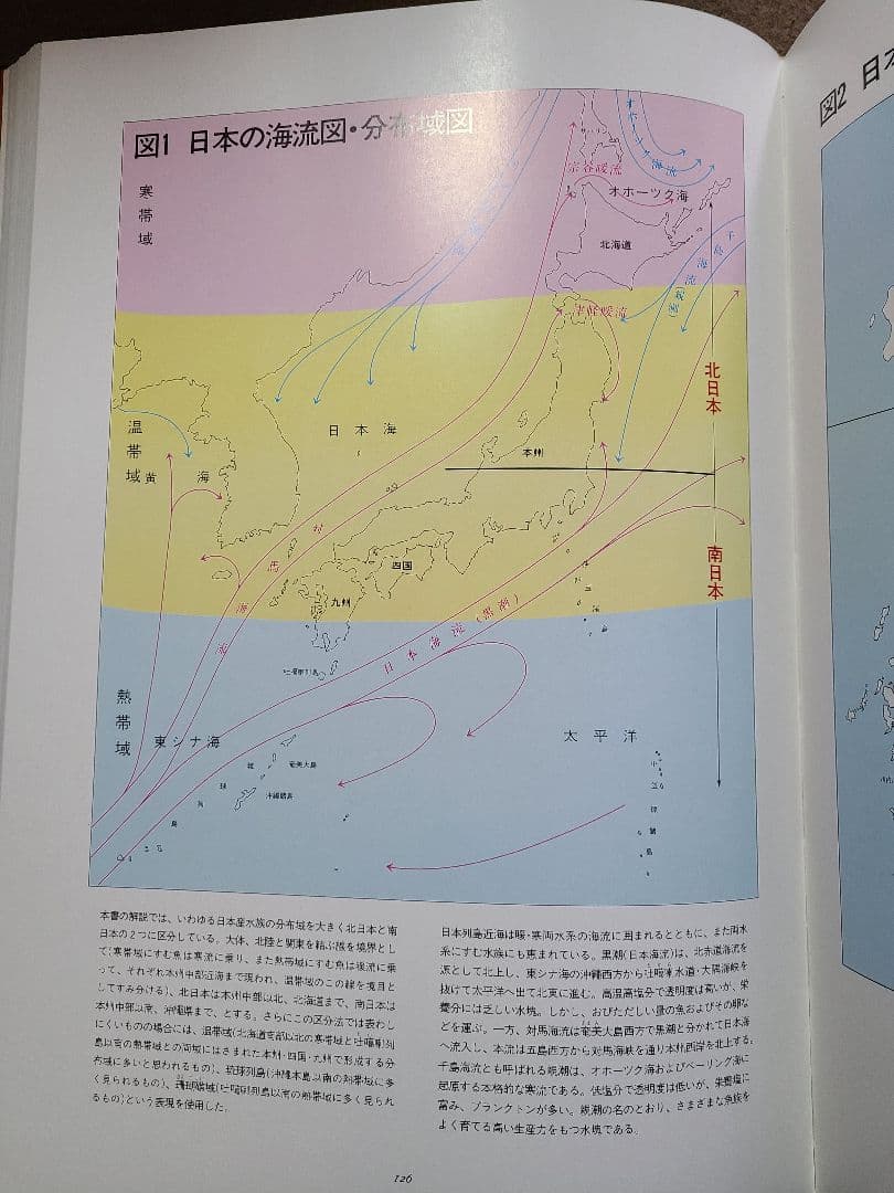 魚譜　大図鑑魚譜【全２巻】日本料理盛付精撰・日本食用魚介藻大図鑑