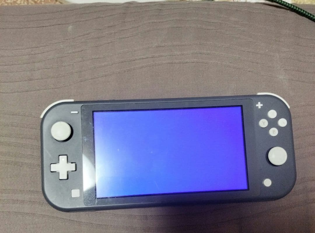 Nintendo Switch Lite グレー ピンク ソフトパッケージ版