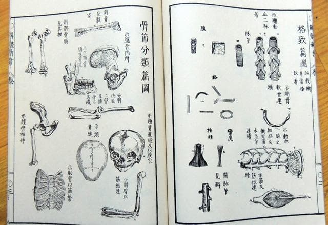限定3000部 解体新書 解體新書 覆刻版 和綴本全5巻　解説書１巻　 杉田玄白