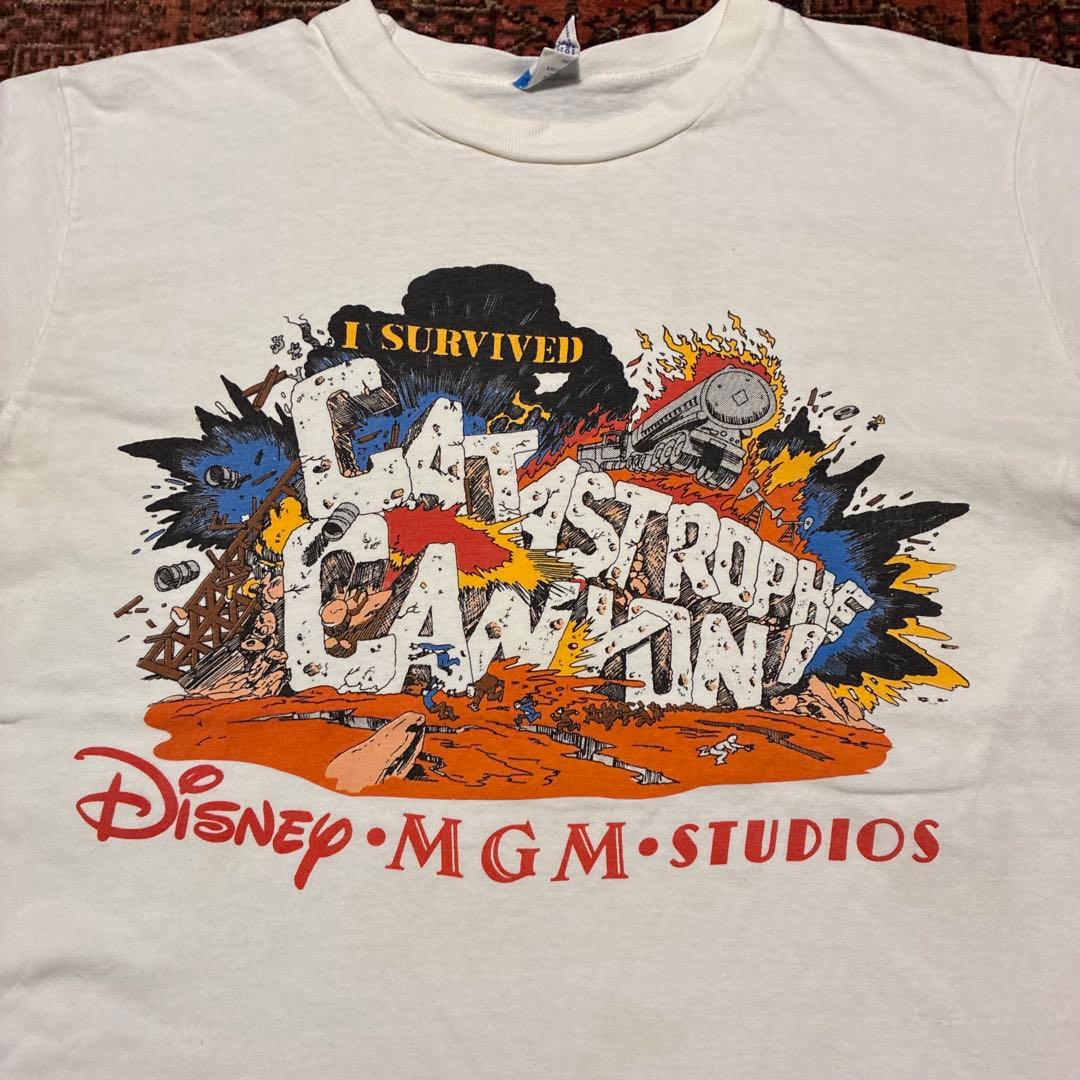 80s USA製 Catastrophe Canyon T-shirt M