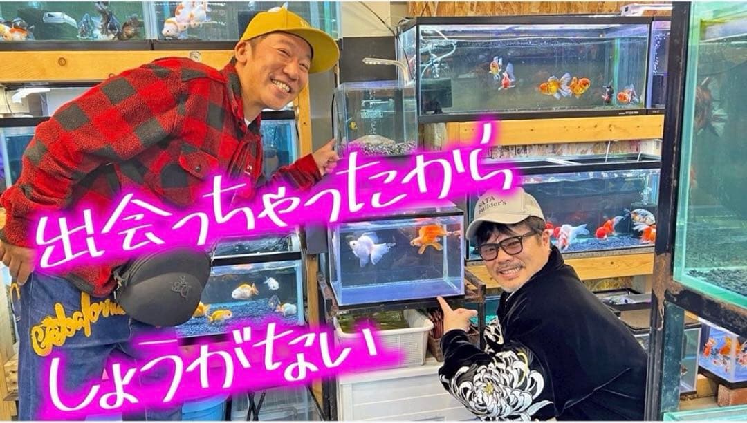 信州まなぶ　菊ベルベットジャケット
