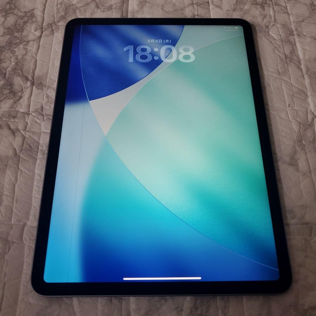 119 iPad Pro 11インチ 第4世代 M2チップ 128GB