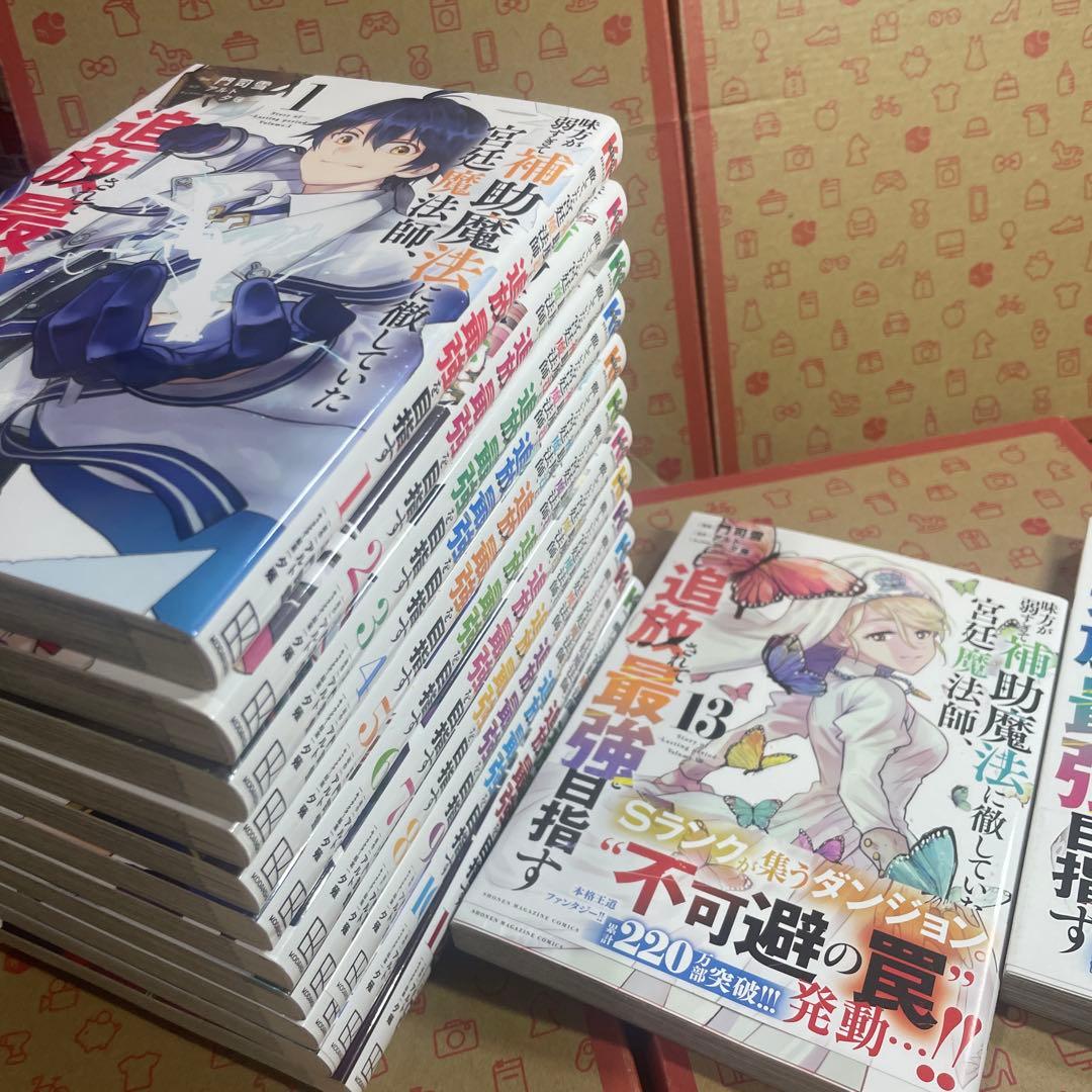 味方が弱すぎて補助魔法に徹していた宮廷魔法師、追放されて最強を目指す1〜14
