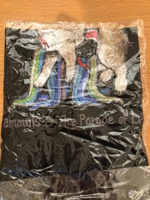 ヒグチユウコ Tシャツ Mサイズ（ボリス看板マグネット付き）