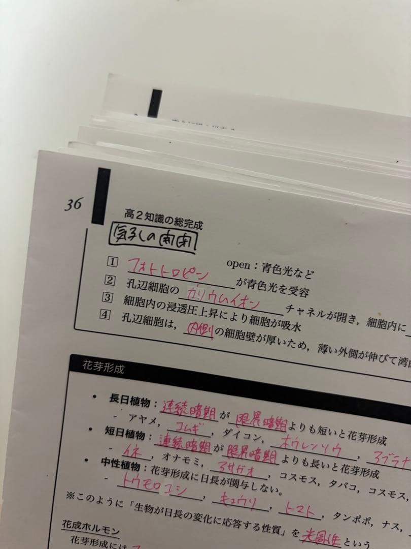 鉄緑会 2023 高2 生物 知識の総完成 全8回分 新課程