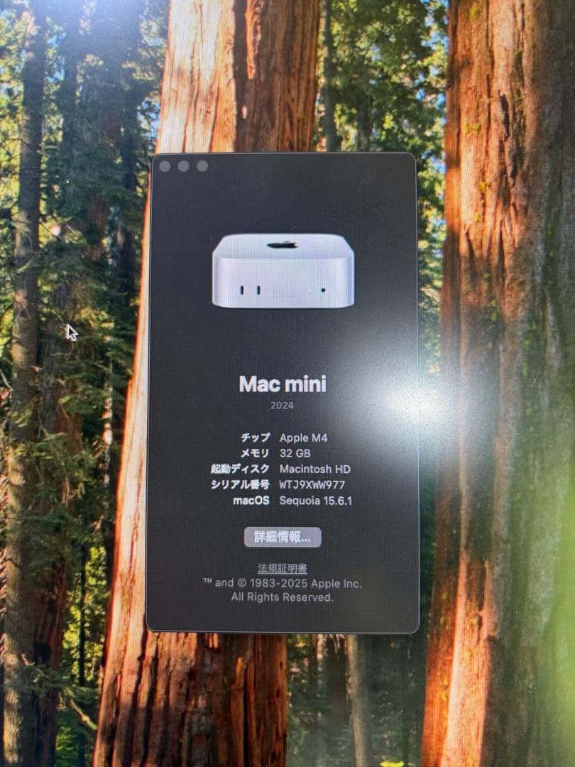 2024Apple Mac mini M4 32GB1TBカスタムおまけ付き