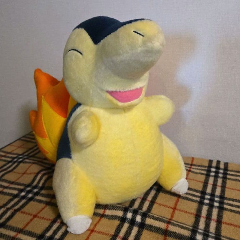 ポケモン TOMY ヒノアラシ ぬいぐるみ BIG