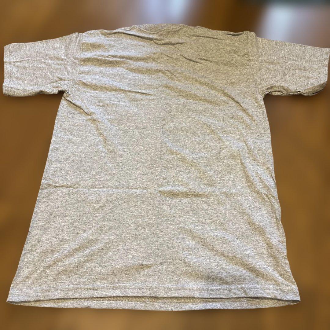 ビョーク　Tシャツ
