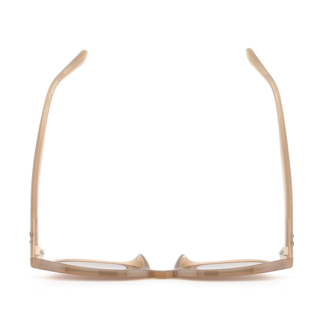 《定価26,620円》RayBan／レイバン　タートルダブ×ブラウン　サングラス