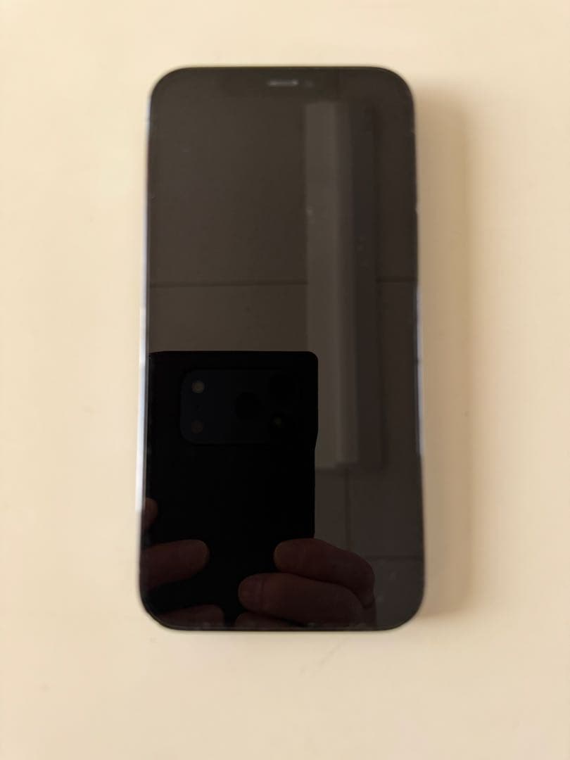 Apple iPhone 12 Pro パシフィックブルー 本体