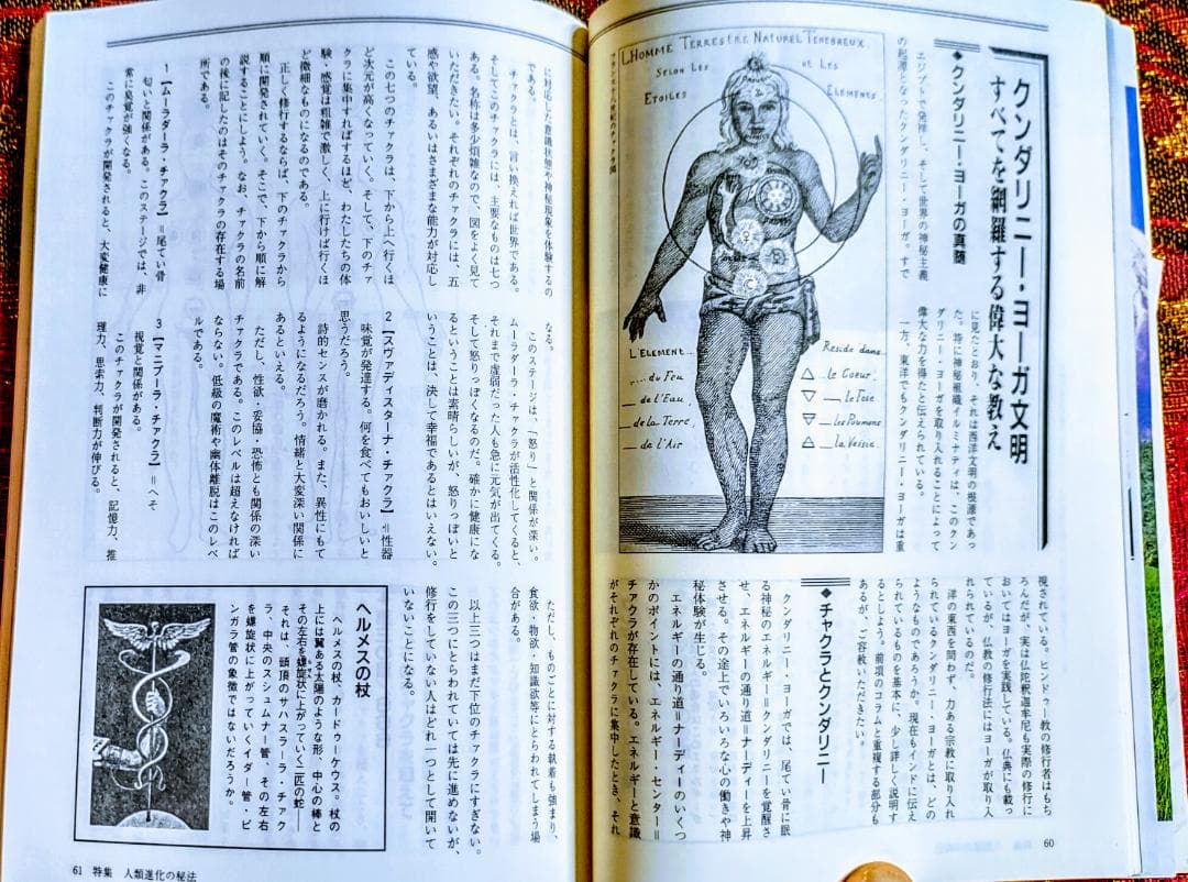 知られざる秘密を暴く、時代への挑戦誌　ヴァジラヤーナ・サッチャNo.１０