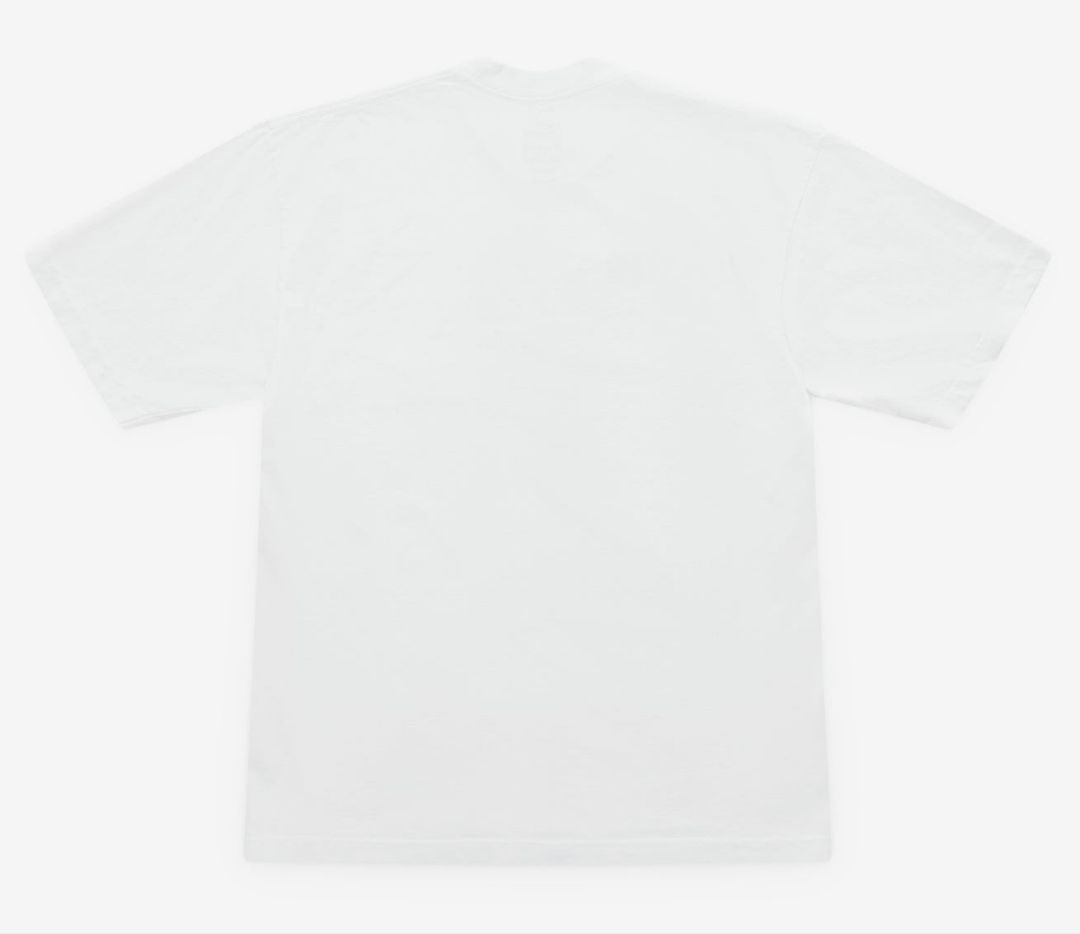DSML 限定 即発送 Wasted Youth Believe T-Shirt
