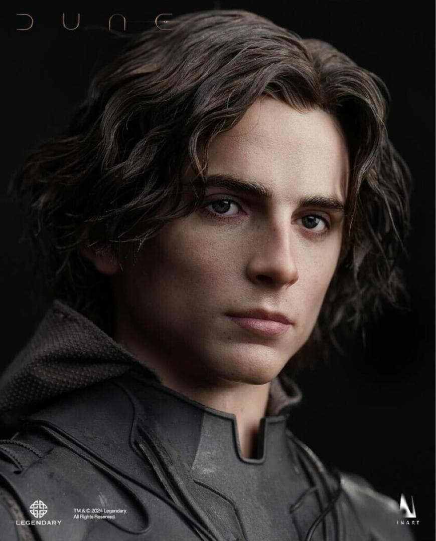 INART 1/6 デューン 砂の惑星 ポール アトレイデス DX版 植毛ヘッド