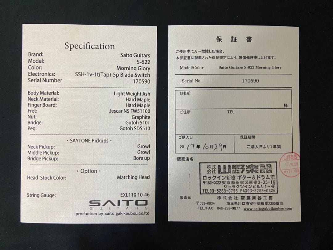 SAITO GUITARS S-622 Morning Glory