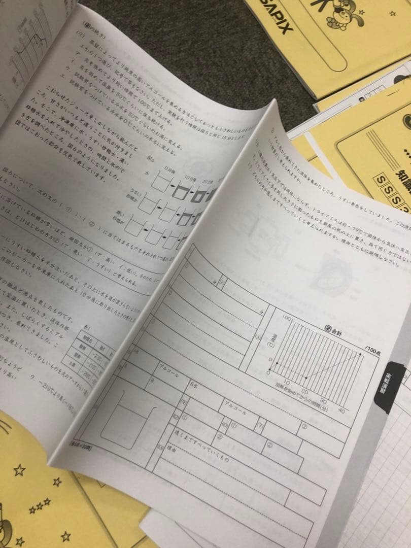 サピックス6年理科　サンデーサピックス　知識論理力講座全14回確認テスト付属