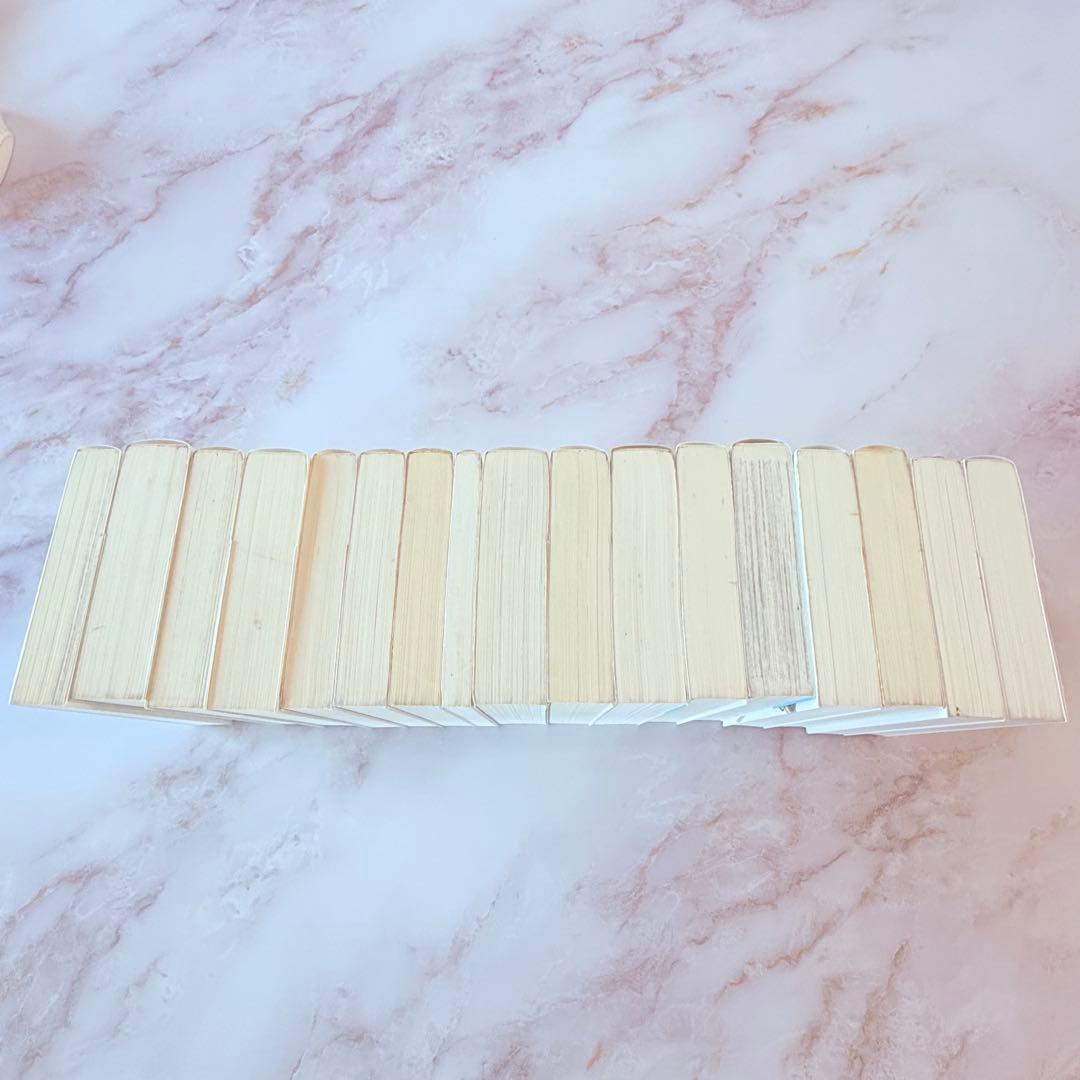 ⭐︎Sakura Store 02様⭐︎ 手塚治虫文庫全集　17冊セット