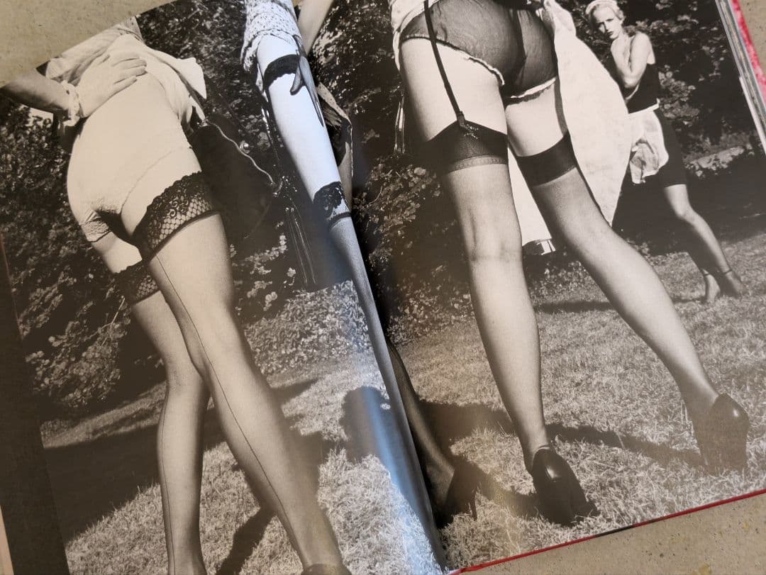 【ダメージ】Fräulein / エレン・フォン・アンワース Taschen