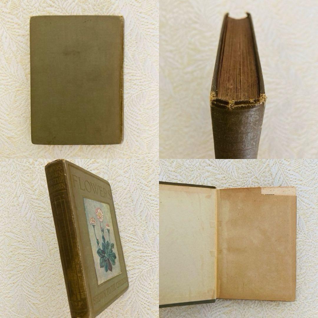 洋書　古書　アンティーク　イギリスの植物図鑑　美しいカラー図版48点♡