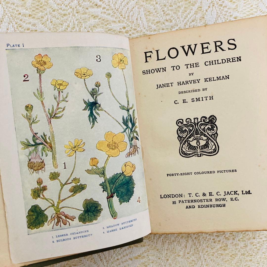 洋書　古書　アンティーク　イギリスの植物図鑑　美しいカラー図版48点♡