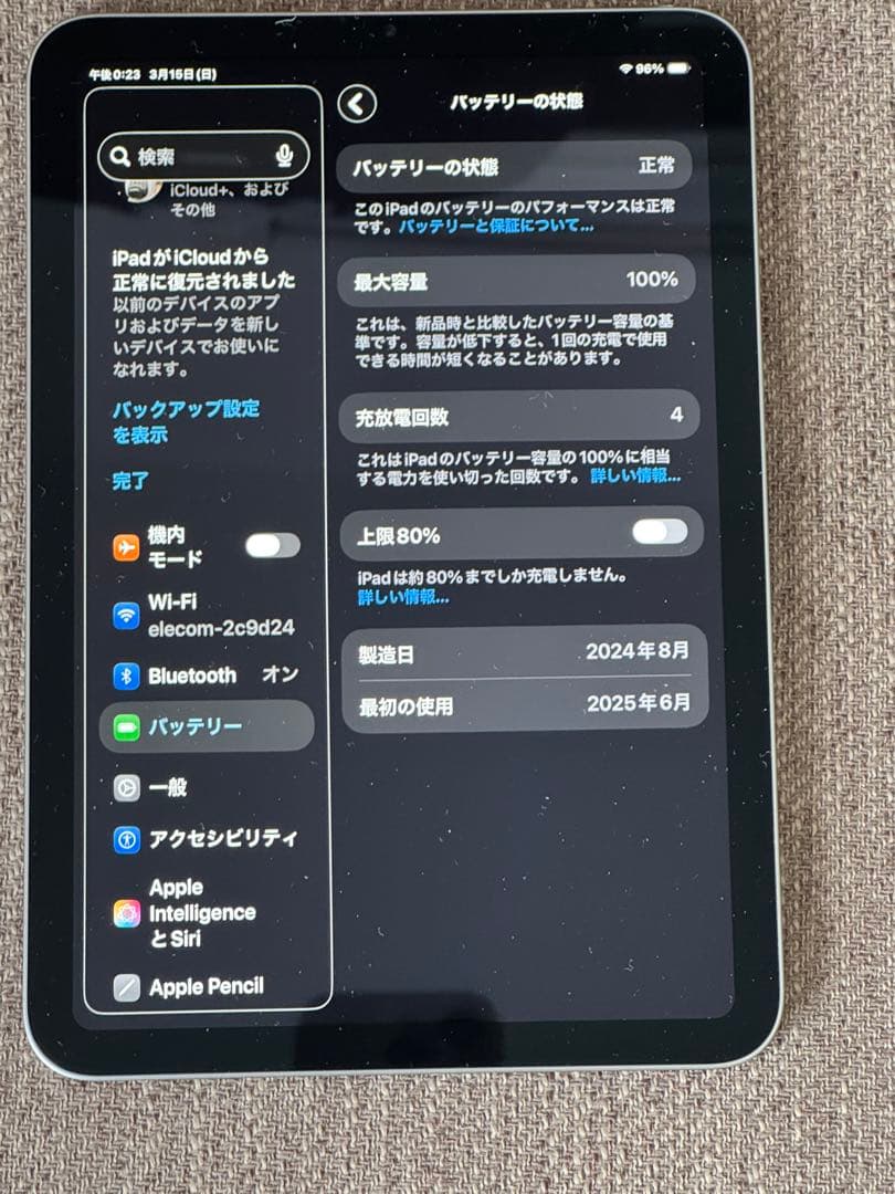 Apple iPad mini（A 17Pro）スペースグレー本体