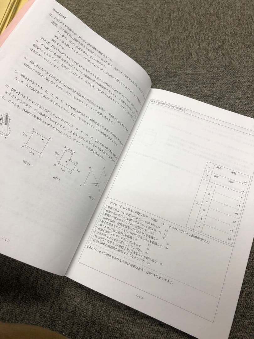 日能研　6年　難関校日特　開成　2023年　受験