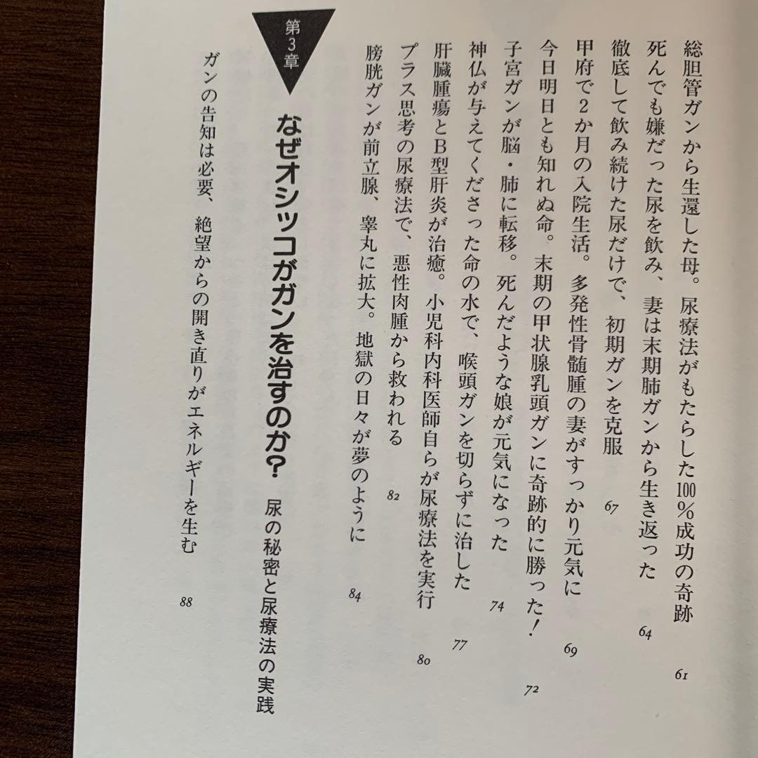 飲んだ！ガンが治った‼　尿療法の不思議　佐野 鎌太郎 著