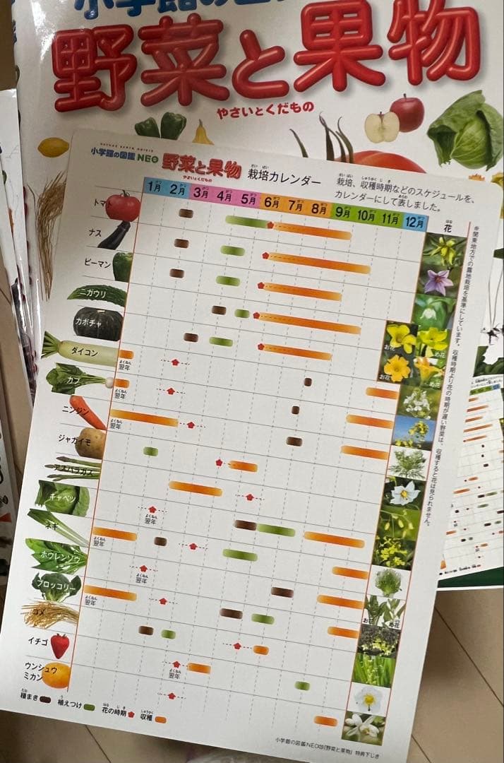 NEOシリーズ 図鑑12冊